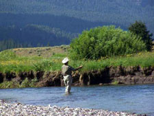 USA-Montana-Yellowstone Pack Trips